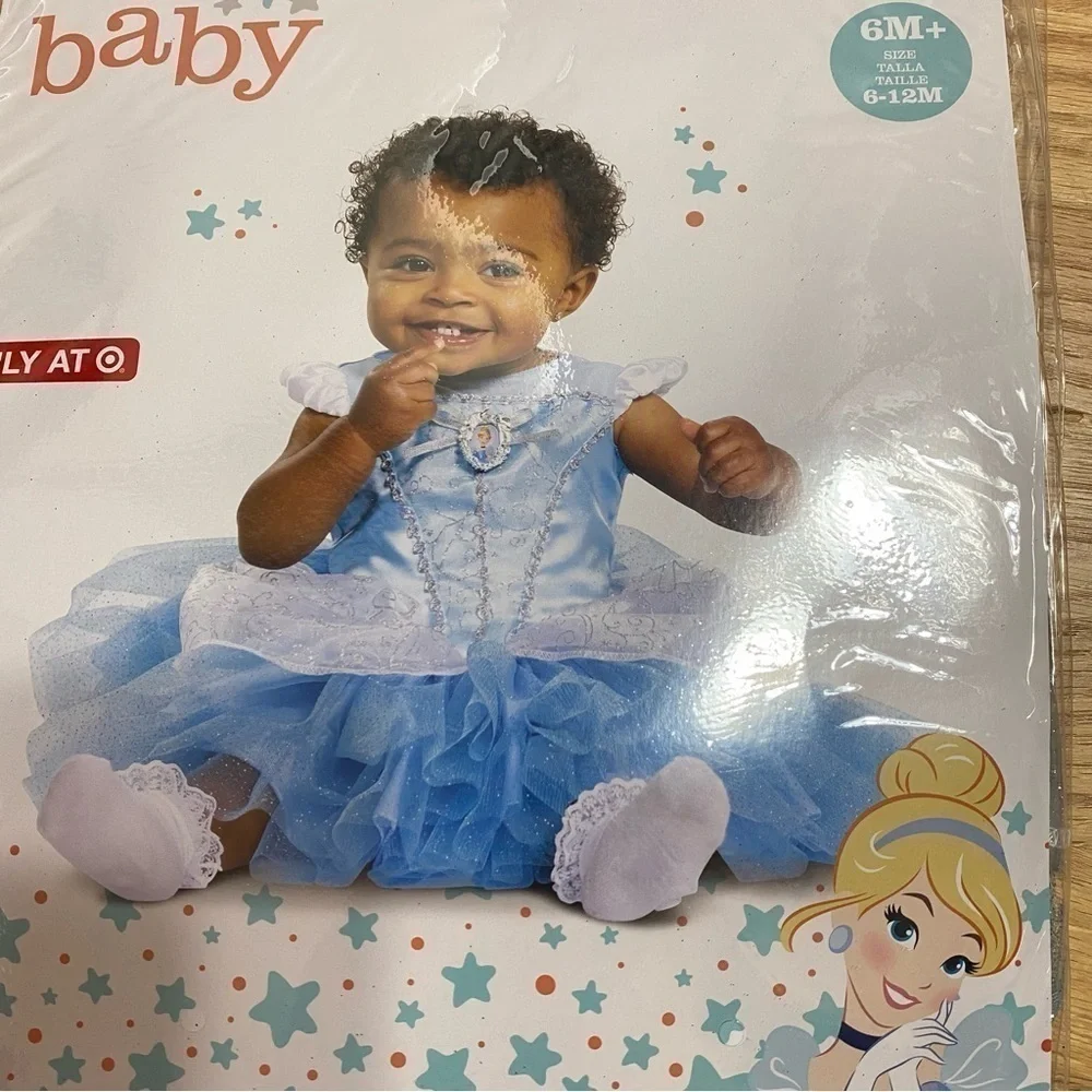 Disney cinderella costume